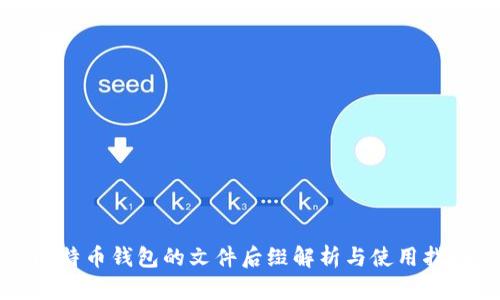 比特币钱包的文件后缀解析与使用指南