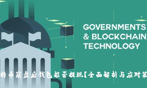 比特币崩盘后钱包能否提现?全面解析与应对策略