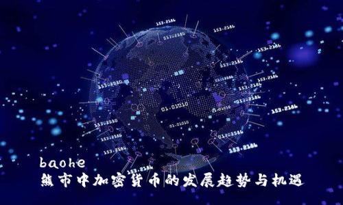 baohe
熊市中加密货币的发展趋势与机遇
