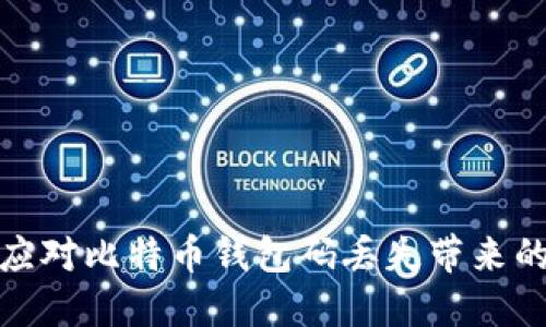 如何应对比特币钱包码丢失带来的困扰