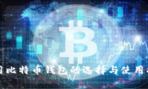 常用比特币钱包的选择与使用指南
