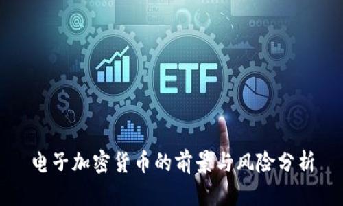 电子加密货币的前景与风险分析
