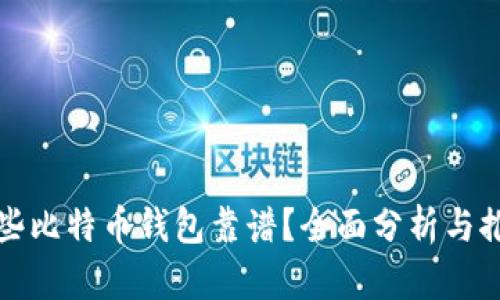 哪些比特币钱包靠谱?全面分析与推荐