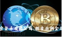 尼日利亚加密货币有限公司：探索非洲金融科技