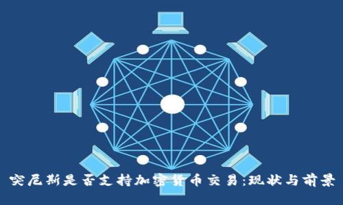 突尼斯是否支持加密货币交易:现状与前景