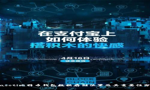 biasoti比特币钱包数据存储位置及其重要性分析