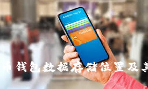 biasoti比特币钱包数据存储位置及其重要性分析