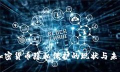 美国加密货币隐私保护的现状与未来发展