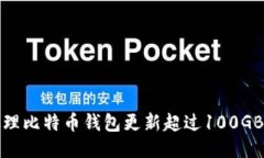 如何处理比特币钱包更新超过100GB的问题