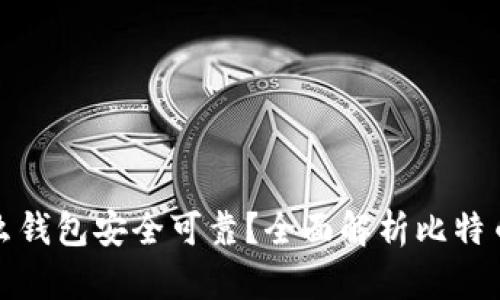 比特币用什么钱包安全可靠?全面解析比特币钱包的选择