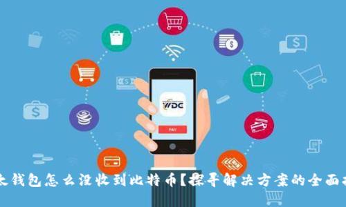 比太钱包怎么没收到比特币?探寻解决方案的全面指南