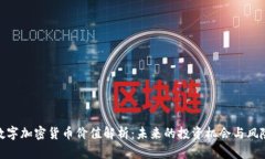 数字加密货币价值解析：未来的投资机会与风险