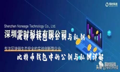 比特币钱包的公钥与私钥
比特币钱包中的公钥与私钥详解