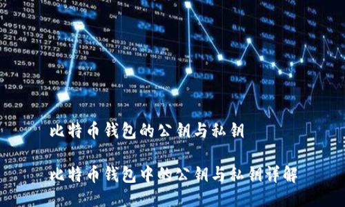 比特币钱包的公钥与私钥
比特币钱包中的公钥与私钥详解