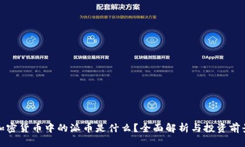 加密货币中的派币是什么?全面解析与投资前景