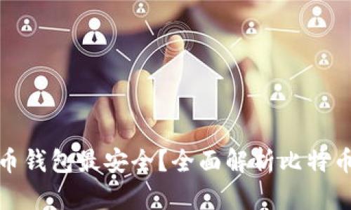 什么样的比特币钱包最安全？全面解析比特币钱包的安全性