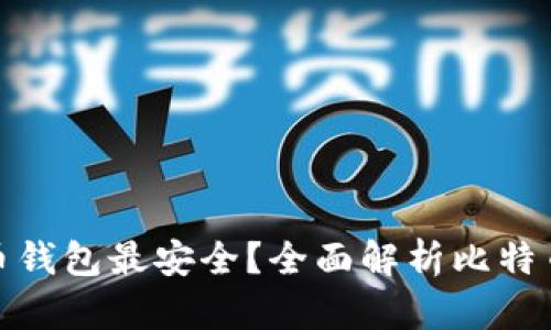 什么样的比特币钱包最安全？全面解析比特币钱包的安全性
