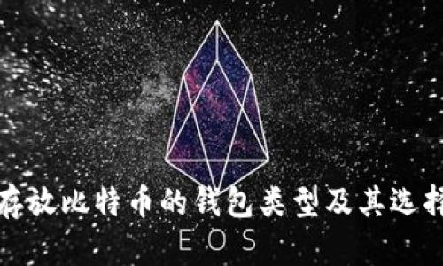 适合存放比特币的钱包类型及其选择指南