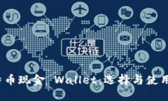  比特币现金 Wallet：选择与使用详解