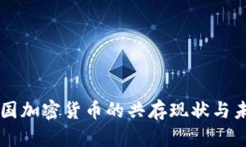 美国加密货币的共存现状与未来
