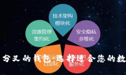 支持比特币分叉的钱包：选择适合您的数字货币钱包