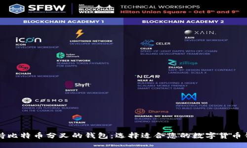 支持比特币分叉的钱包：选择适合您的数字货币钱包