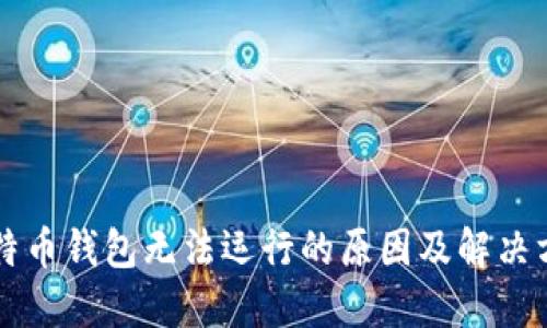 比特币钱包无法运行的原因及解决方法