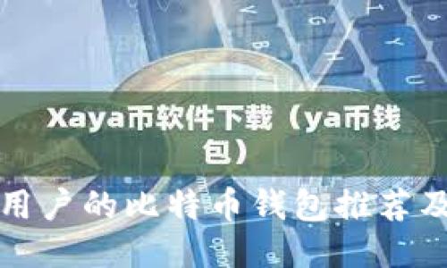 适合中国用户的比特币钱包推荐及使用指南