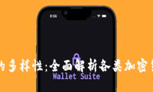 加密货币圈的多样性：全面解析各类加密货币及其特点