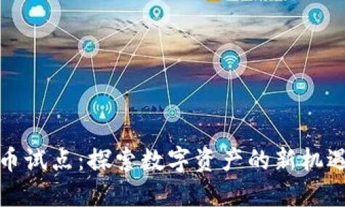 加密货币试点：探索数字资产的新机遇与挑战