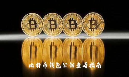 比特币钱包公钥查看指南