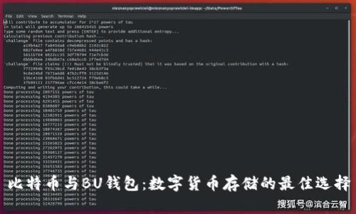 比特币与BU钱包：数字货币存储的最佳选择