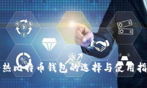 冷热比特币钱包的选择与使用指南