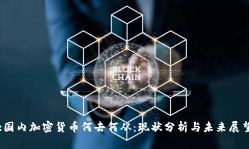 :国内加密货币何去何从：现状分析与未来展望