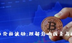 加密货币价格波动：理解影响因素与投资策略