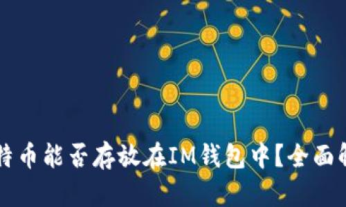 比特币能否存放在IM钱包中？全面解析
