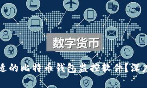 如何选择合适的比特币钱包监控软件？深度分析与推荐