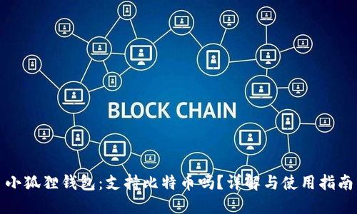 小狐狸钱包：支持比特币吗？详解与使用指南