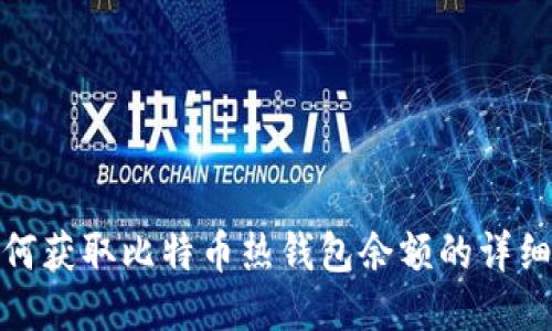 : 如何获取比特币热钱包余额的详细指南