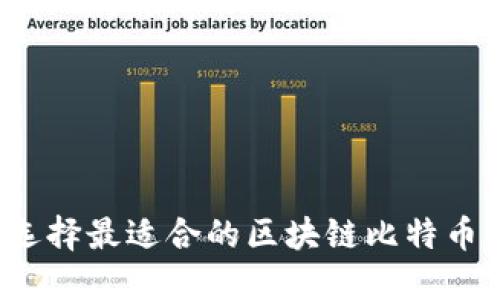 如何选择最适合的区块链比特币钱包？