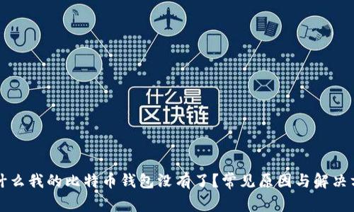 为什么我的比特币钱包没有了？常见原因与解决方案
