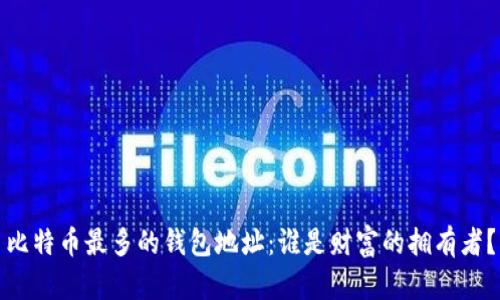 比特币最多的钱包地址：谁是财富的拥有者？