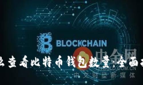 怎么查看比特币钱包数量：全面指南