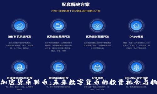 : 加密货币猫币：未来数字货币的投资机会与挑战