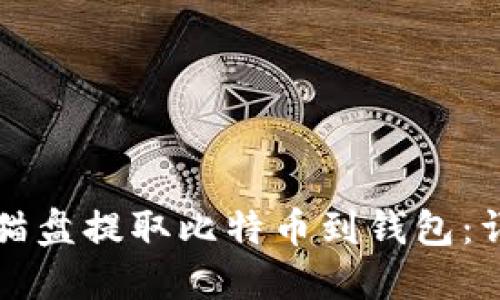 如何从猫盘提取比特币到钱包：详细指南