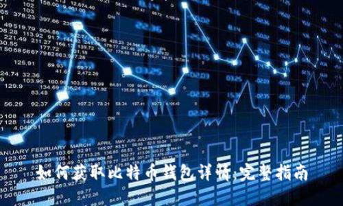 如何获取比特币钱包详情：完整指南