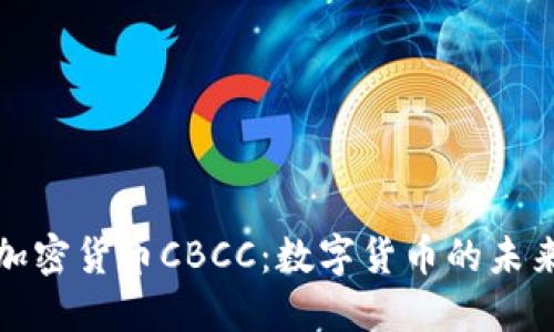 央行加密货币CBCC：数字货币的未来之路