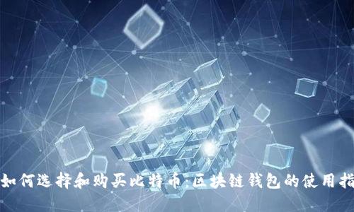 : 如何选择和购买比特币：区块链钱包的使用指南