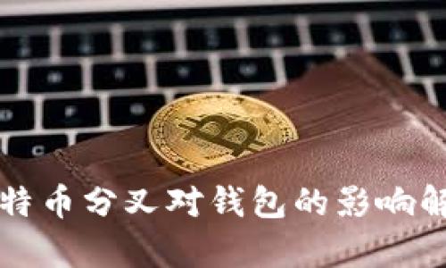 比特币分叉对钱包的影响解析