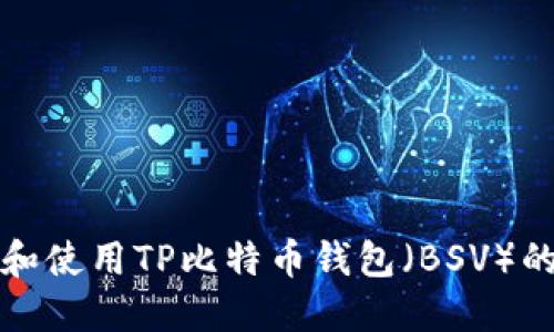 如何选择和使用TP比特币钱包（BSV）的终极指南